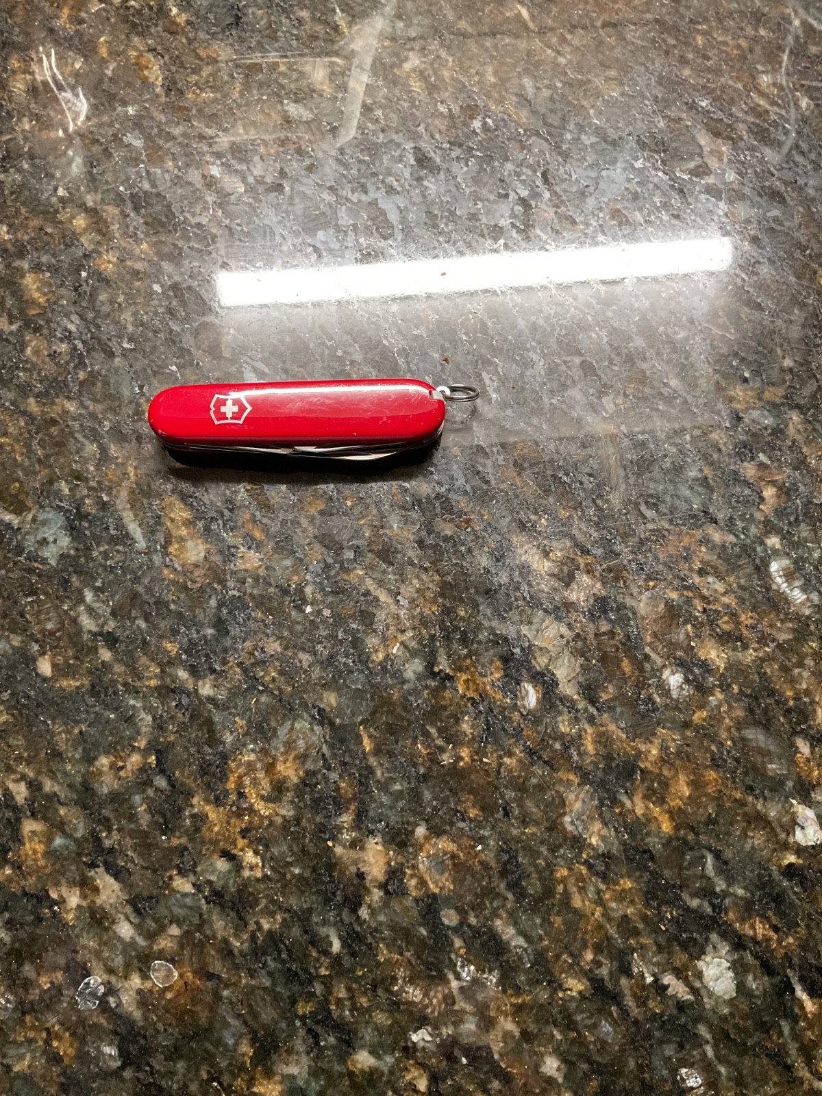 Swiss Army Knife The Recruit