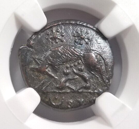 She-Wolf Twins Constantinian NGC AU Roman Empire Nummus Child Remus Romulus Roma