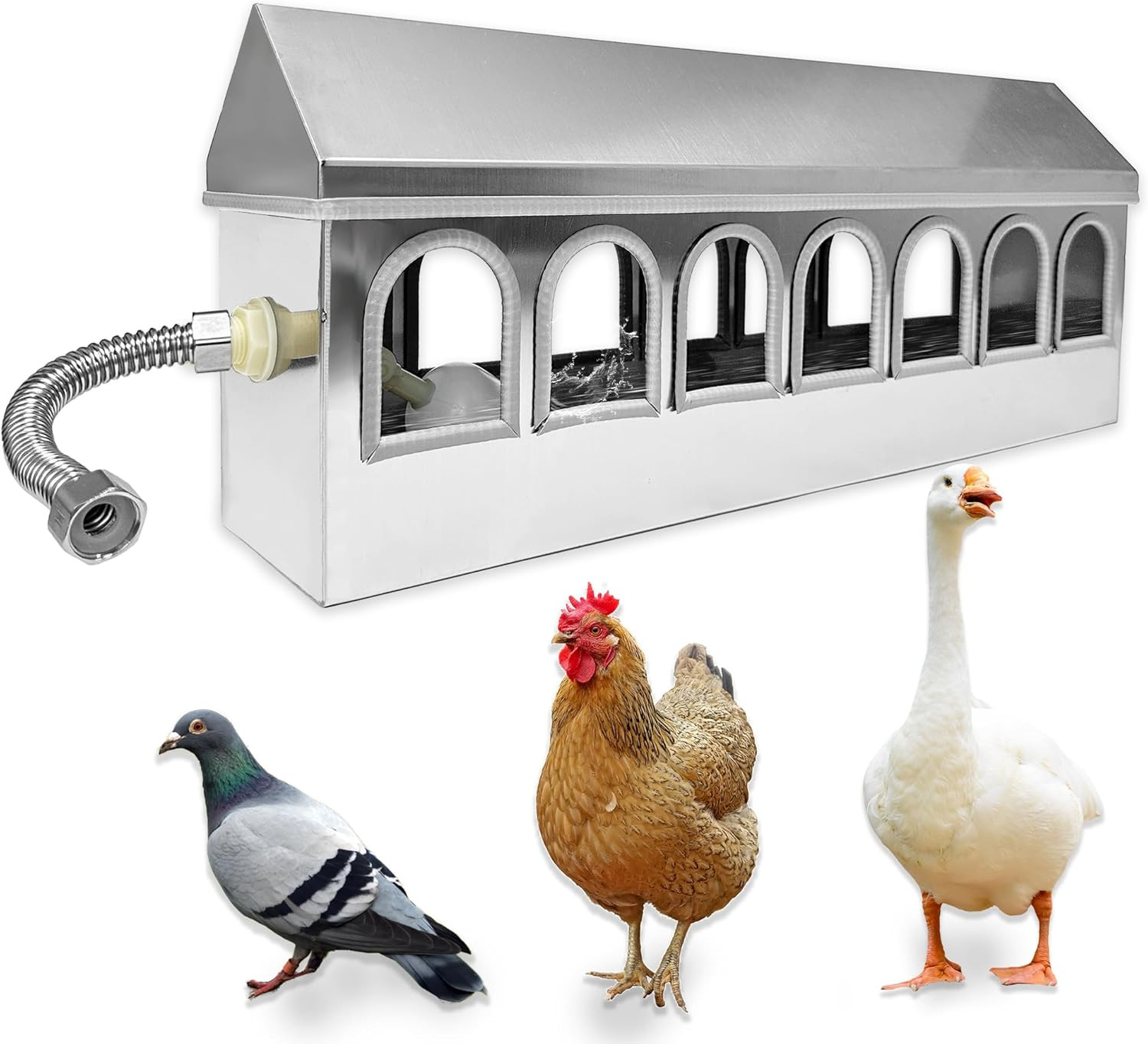 Automatic Chicken Waterer Stainless Steel Pigeon Water Poultry Water Dispenser A