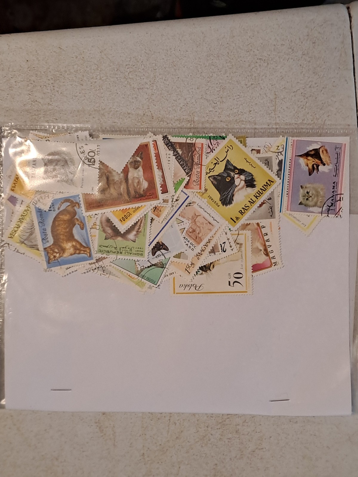 100 DIFFERENT  STAMPS OF CATS BULK