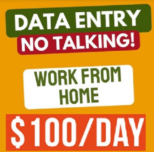 Make $100 per Day INTERNET BUSINESS - WORK AT HOME - HOME BUSINESS
