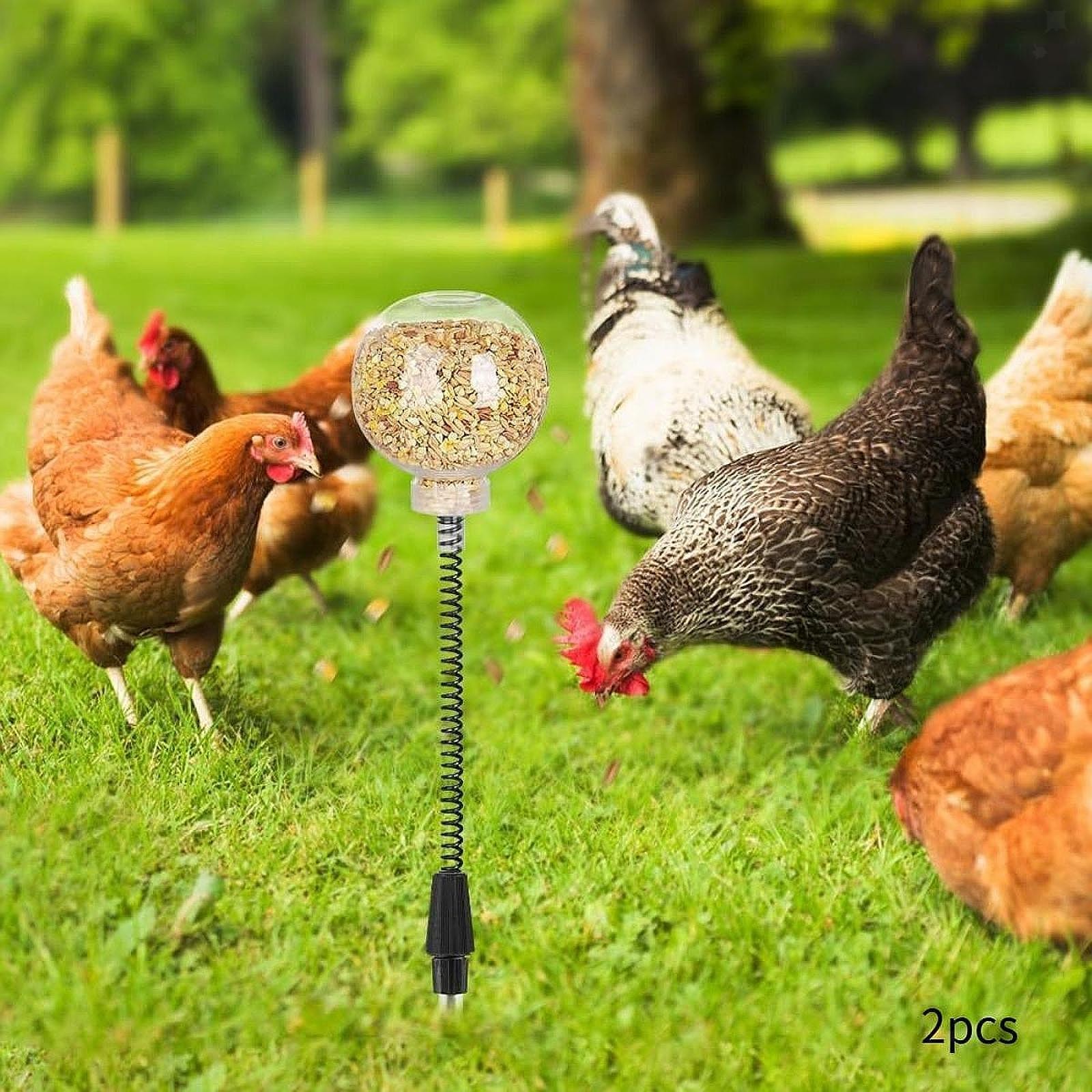 2x Chicken Peck Toy Slow feed Release Toy Practical Enrichment Toy