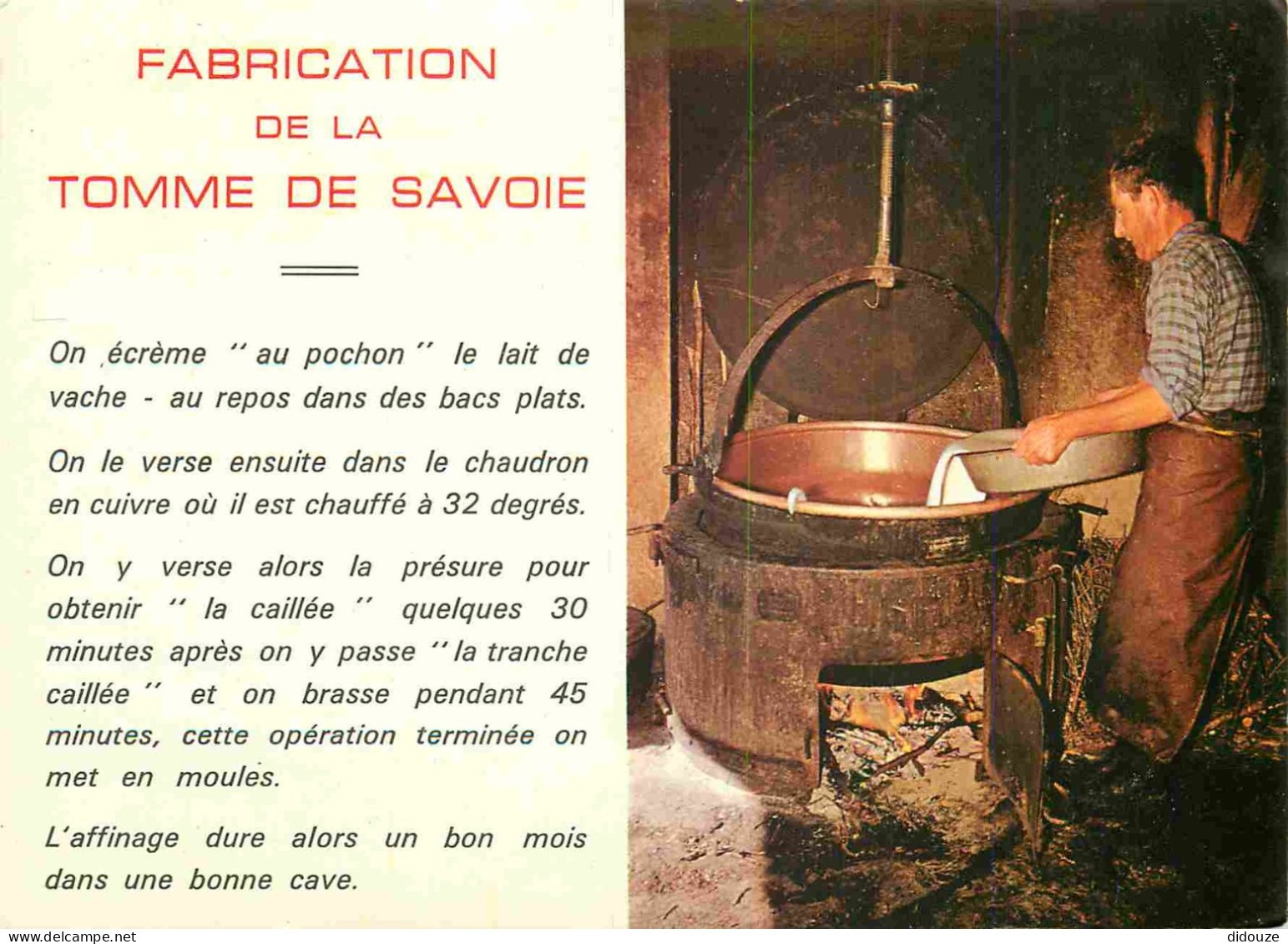 Postcard - Crafts - Cheese - Cheeses - Cheese Factory - Making T