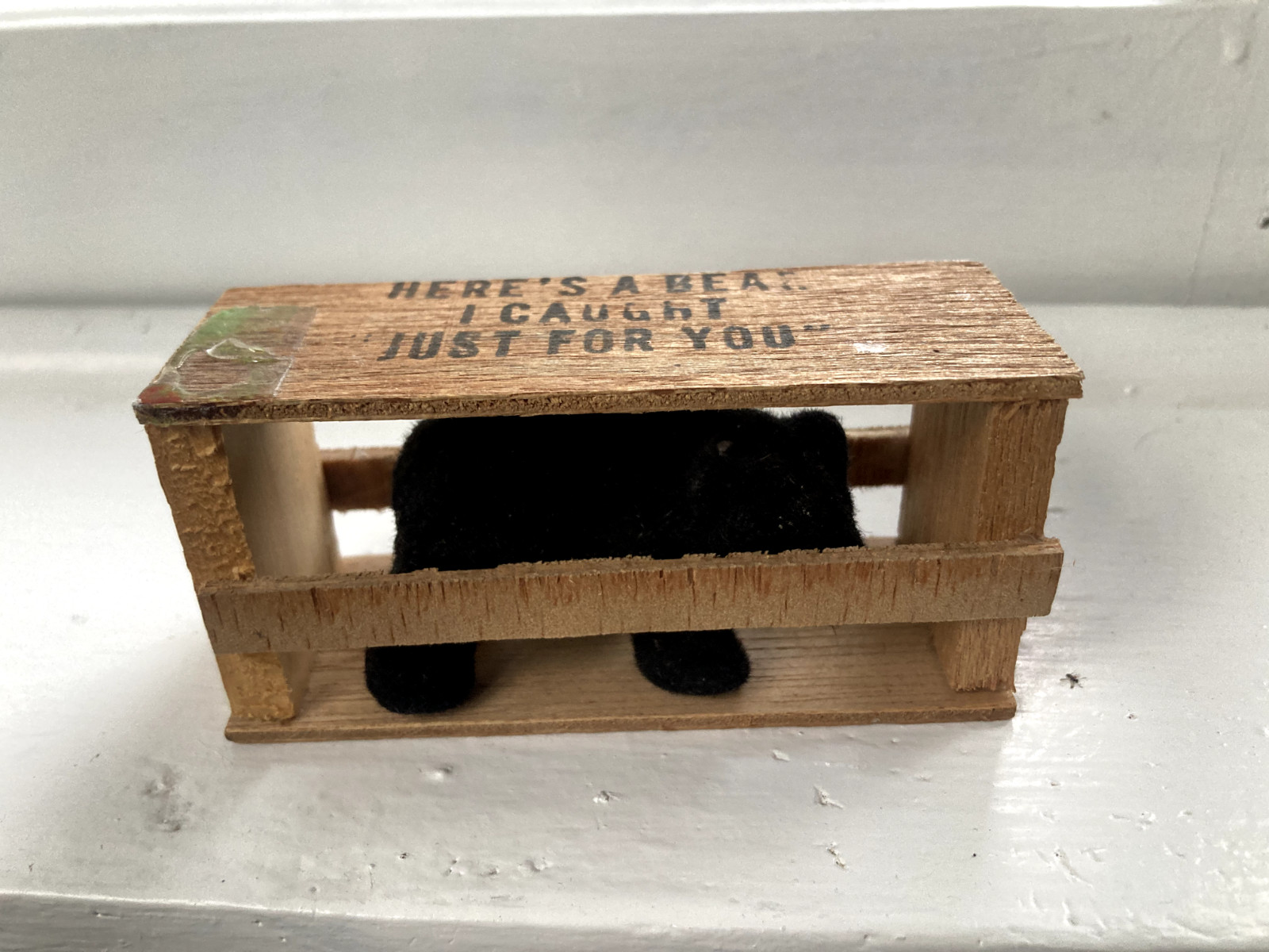 Vintage Here's A Bear I Caught Just For You Novelty Postcard 1960s