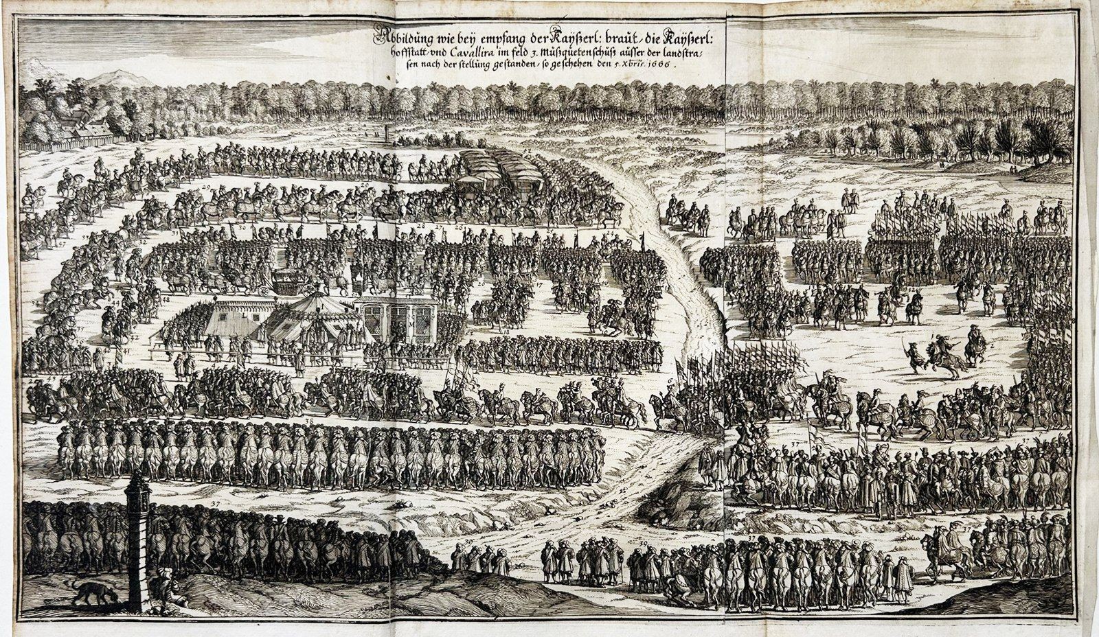 Vienna Margarita Theresa Of Spain Catchment Merian Copperplate Engraving