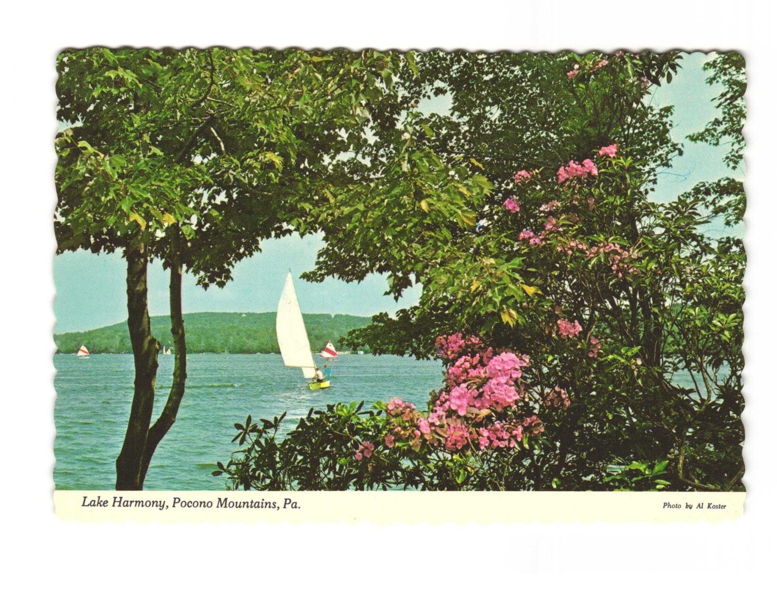 Lake Harmony Pocono Mountains Pennsylvania Vintage postcard unposted