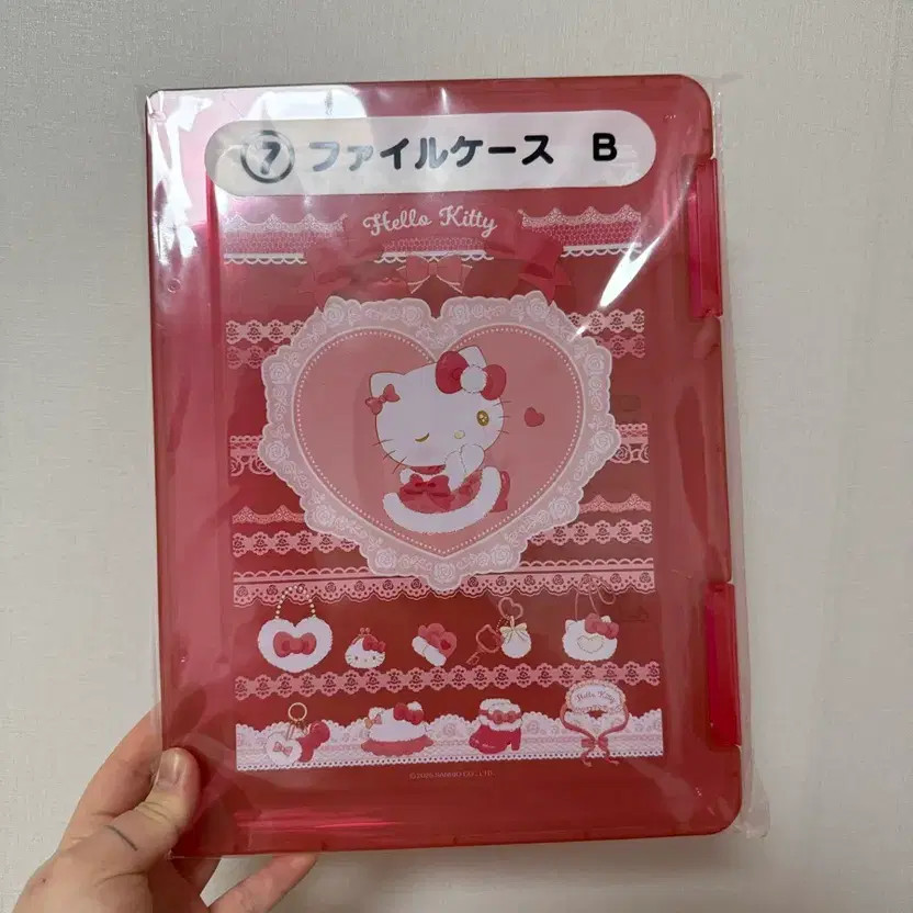 Kooji Unopened File Case 7th Grade File Organizer