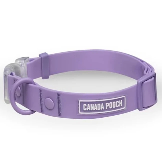 Canada Pooch Lavender Dog Collar Medium
