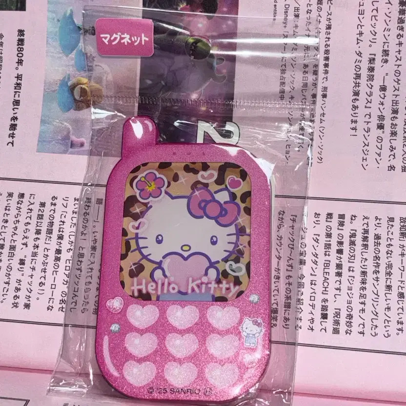 Sanrio My Heart Memory Series Hello Kitty Magnet Leopard