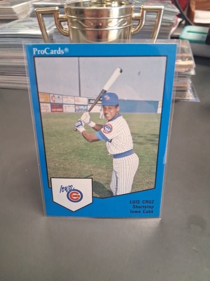 LUIS CRUZ  1989 PRO CARDS  MINOR LEAGUE  BASEBALL CARD  #1692