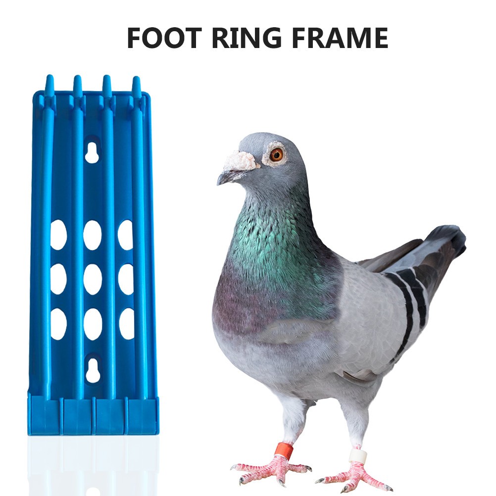 3Pcs Pigeon Leg Band Holder Rack Bird Foot Ring Organizer for Racing Pigeons