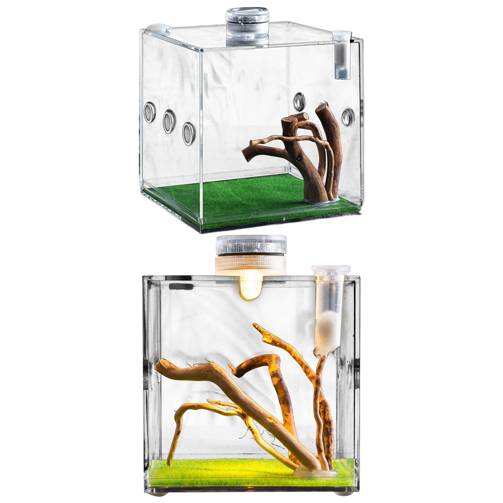 Acrylic Reptile Terrarium Lizard Spider Vivarium Enclosure Clear Reptile Cage