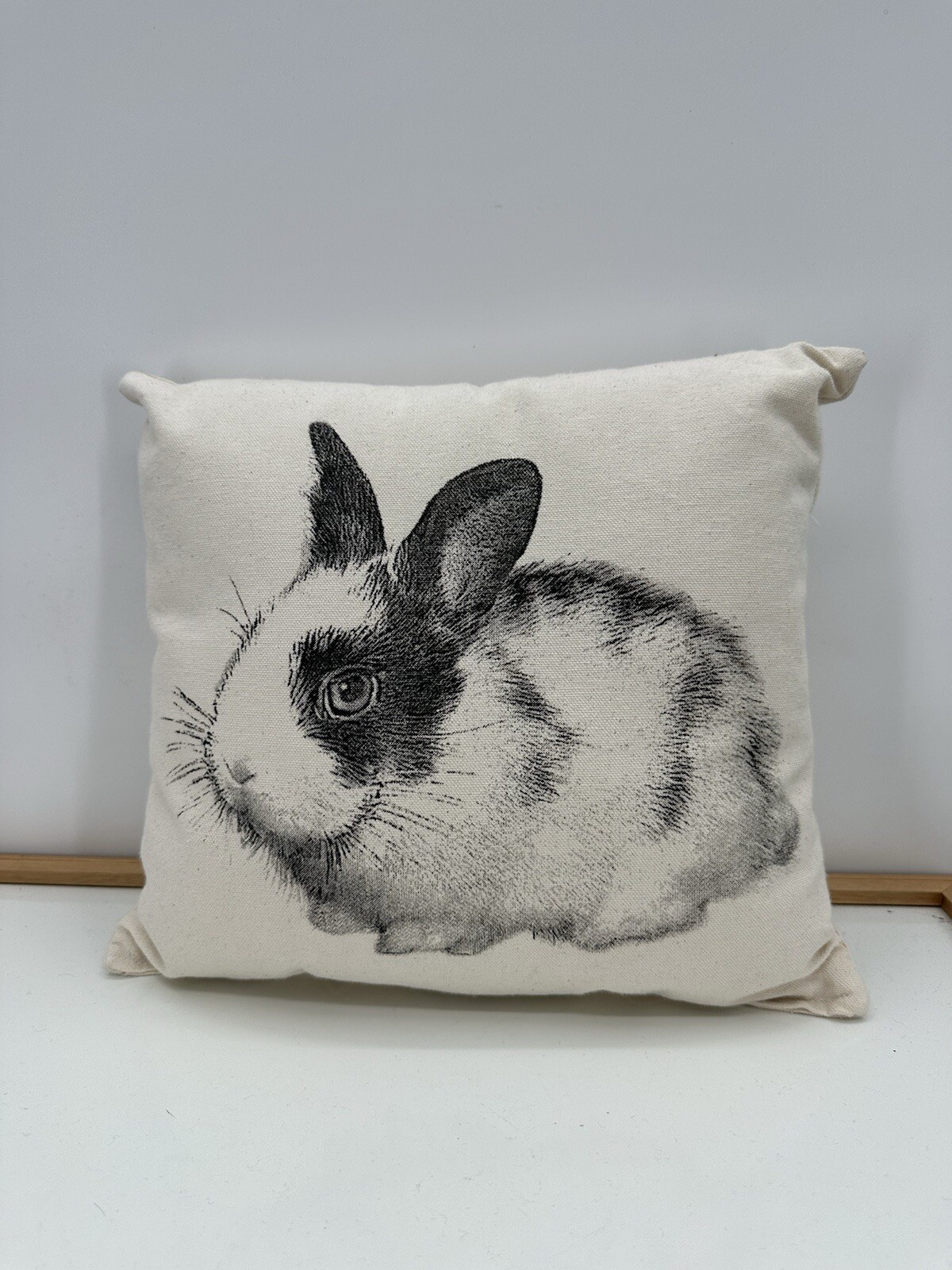 Eric & Christopher Screen Printed Bunny Pillow ~ 11.5” X 13” ~ EC