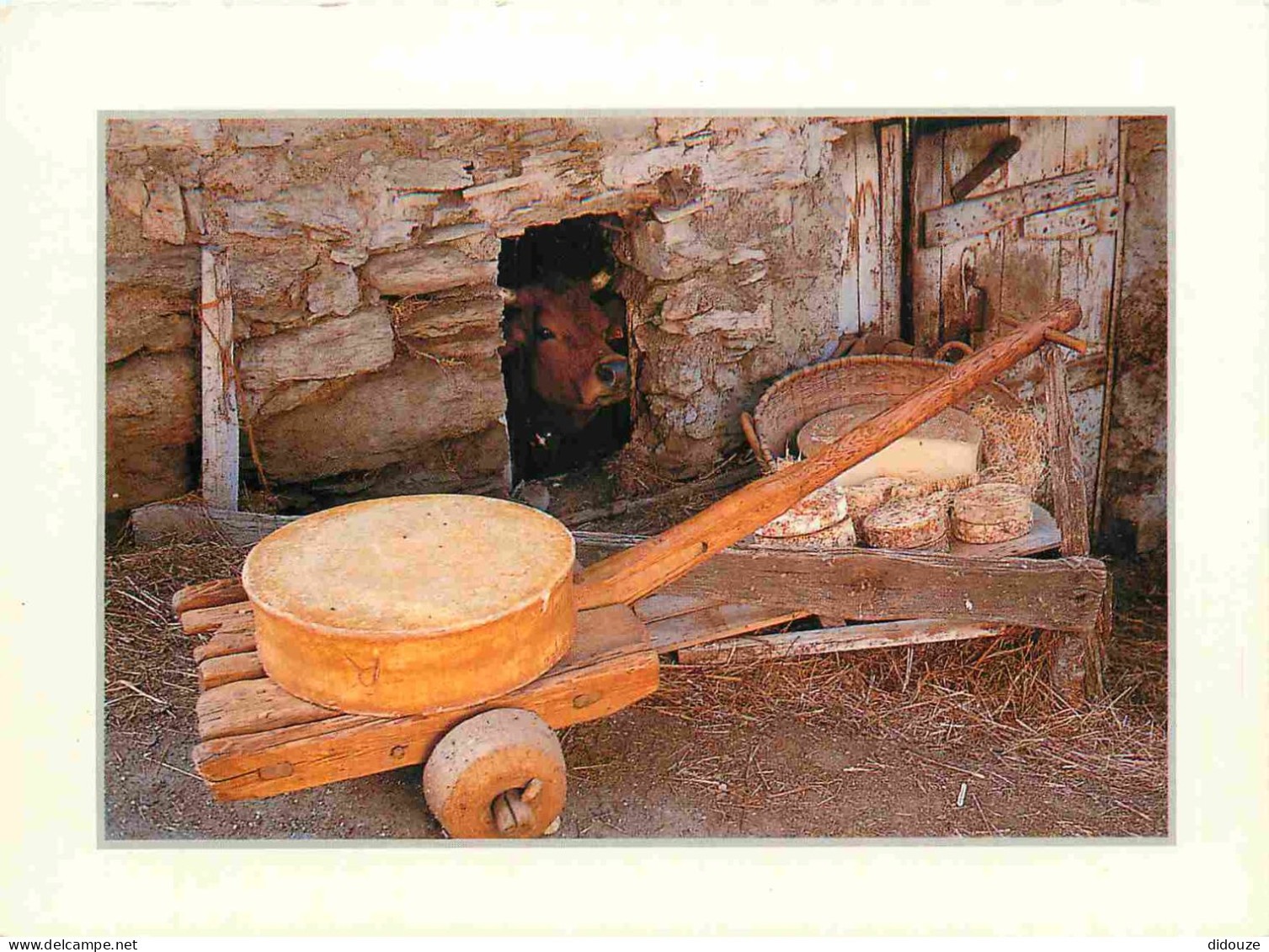 Postcard - Crafts - Cheese - Cheeses - Cheese Factory - French Alps