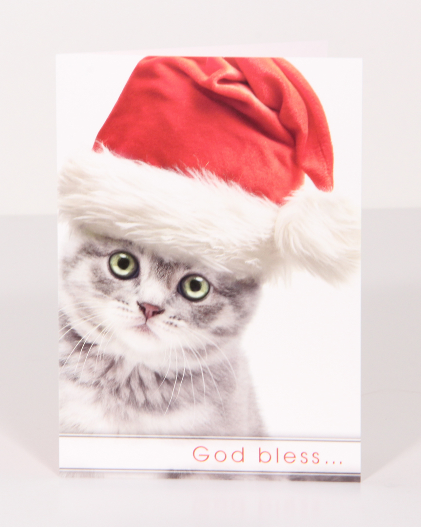 Kingdom Christmas Paws Christmas Cards Variety