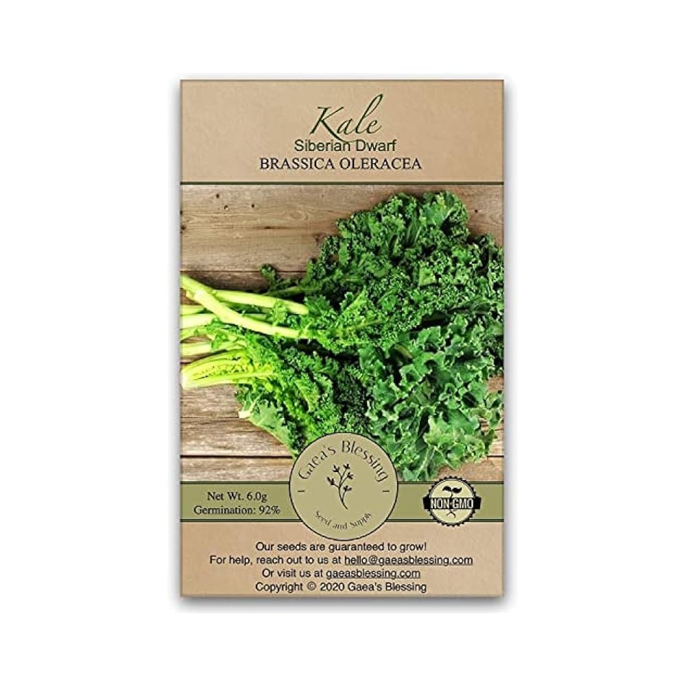 Non,GMO Kale Seeds for Garden, Heirloom Variety, Easy Growing Instructions