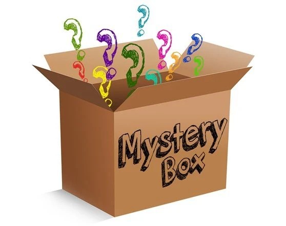 Mystery box5 items in each box) such as cords, stuffed animals,clothes shoes  