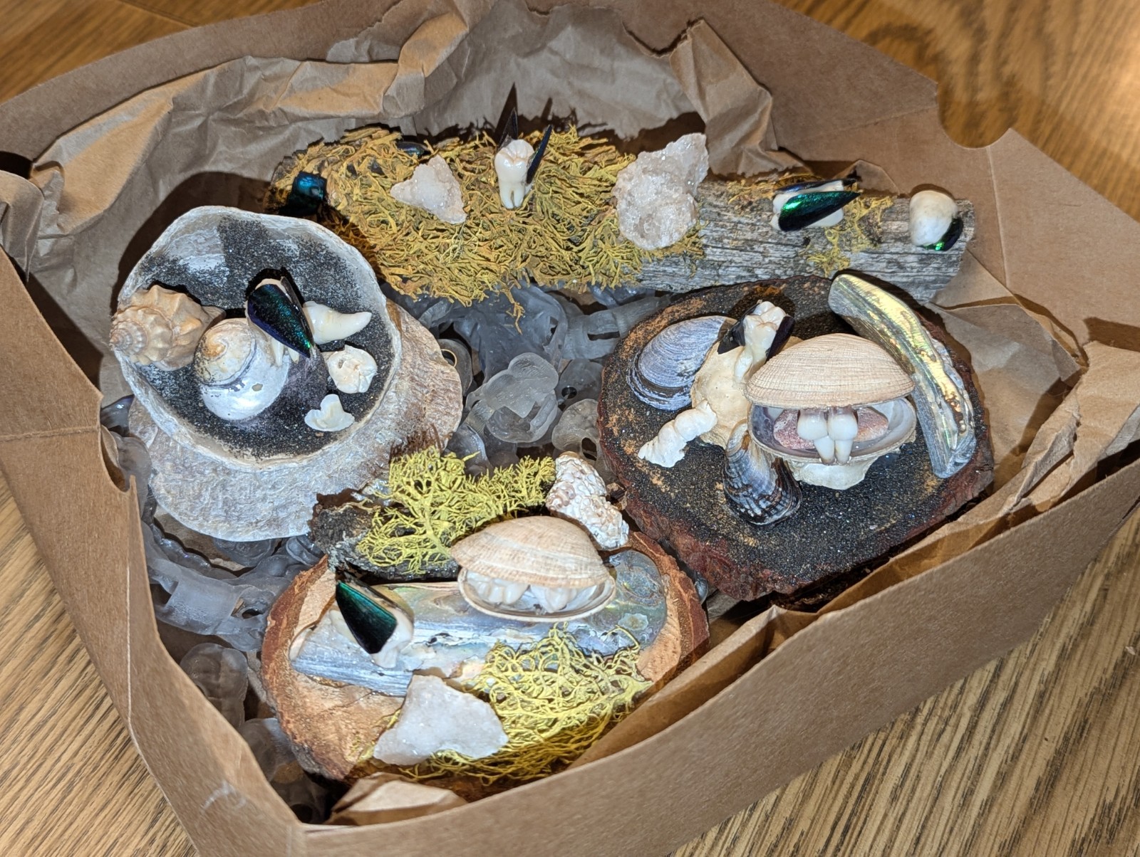 Tooth Fairy Artwork, Authentic Human Teeth, Oddities, Bizarre, Trinkets, Ocean