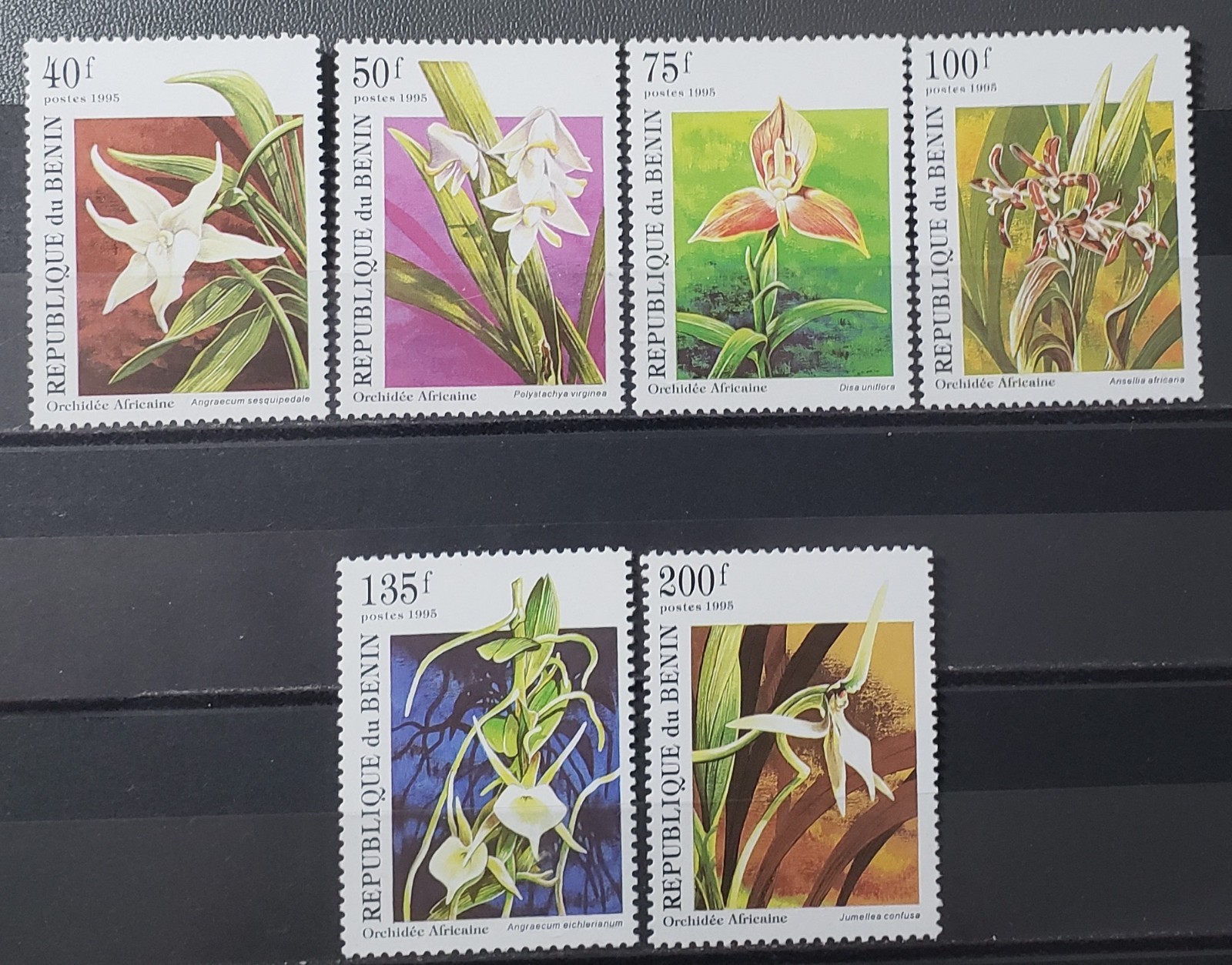 Benin 1995 MNH Flower Stamp Set