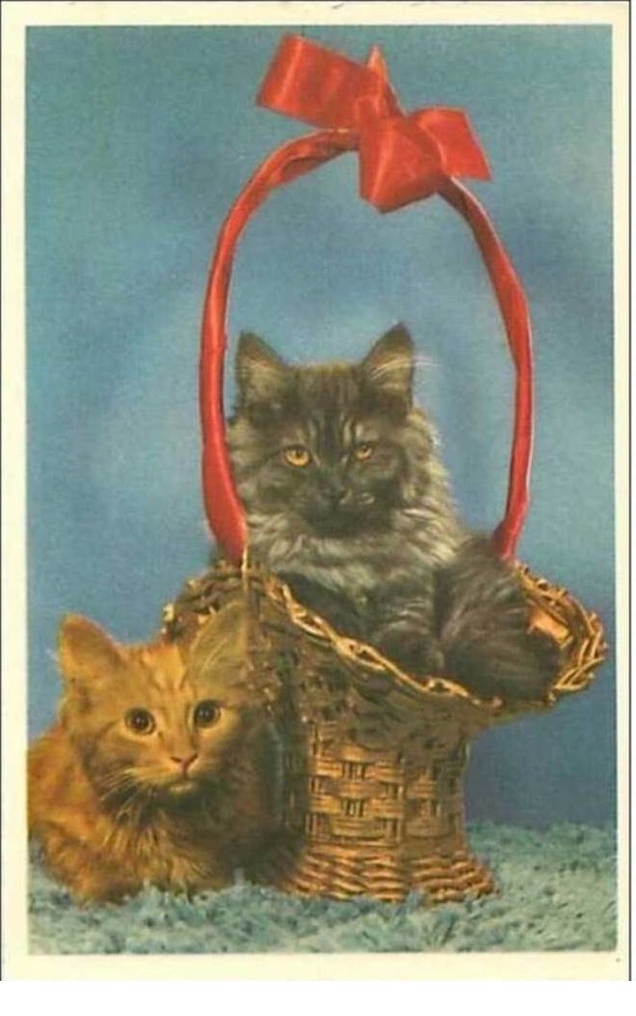 Cats No. 2236 Kittens In A Basket With A Red Bow