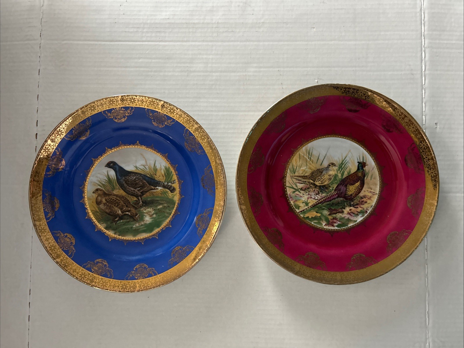 Bavarian Germany STW Set Of 2 Decorated Qual, Bird Plates. West Germany In MCM