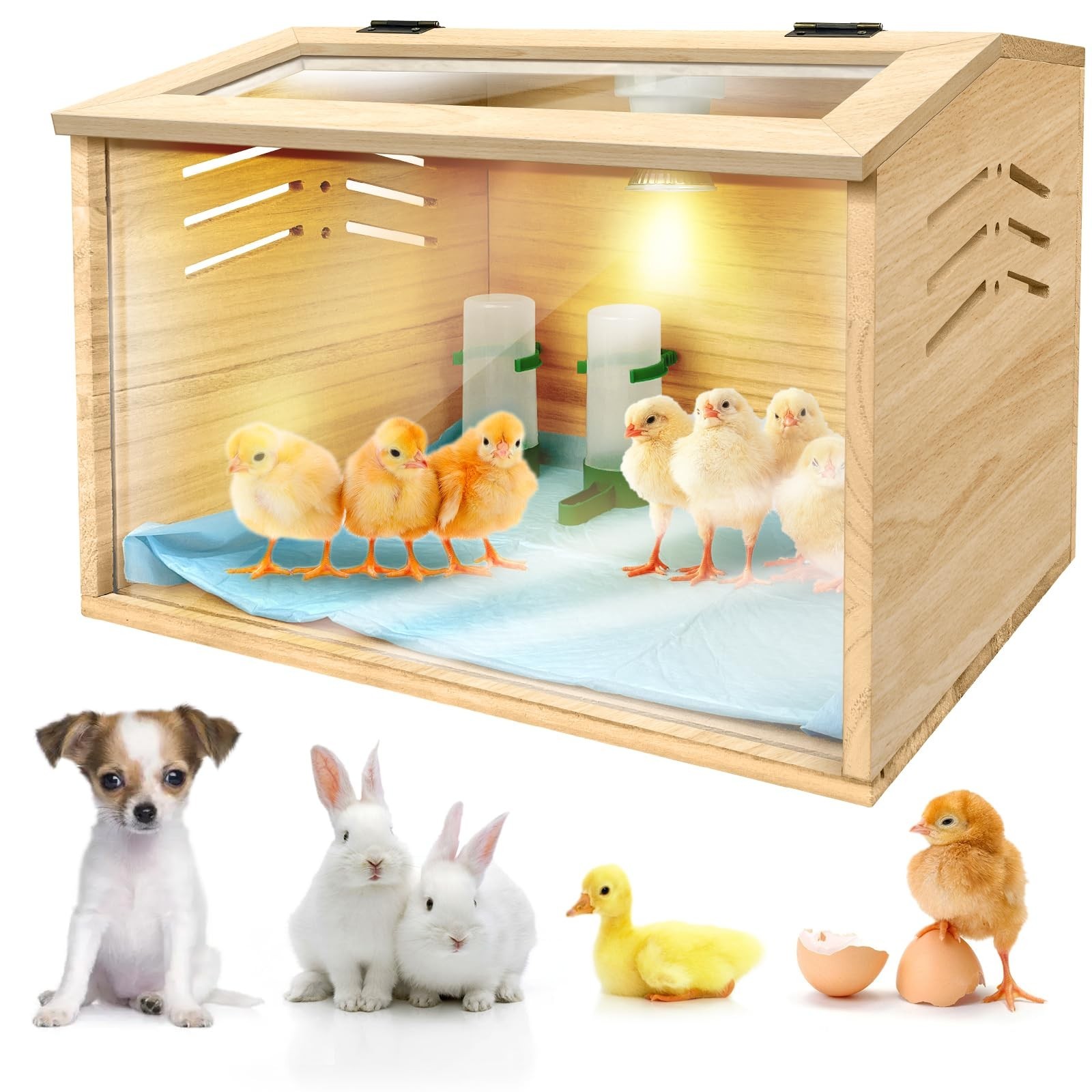 Chicken Brooder Box for Chicks & Quail with 3 Absorbent Pads, Feeder and Wate...