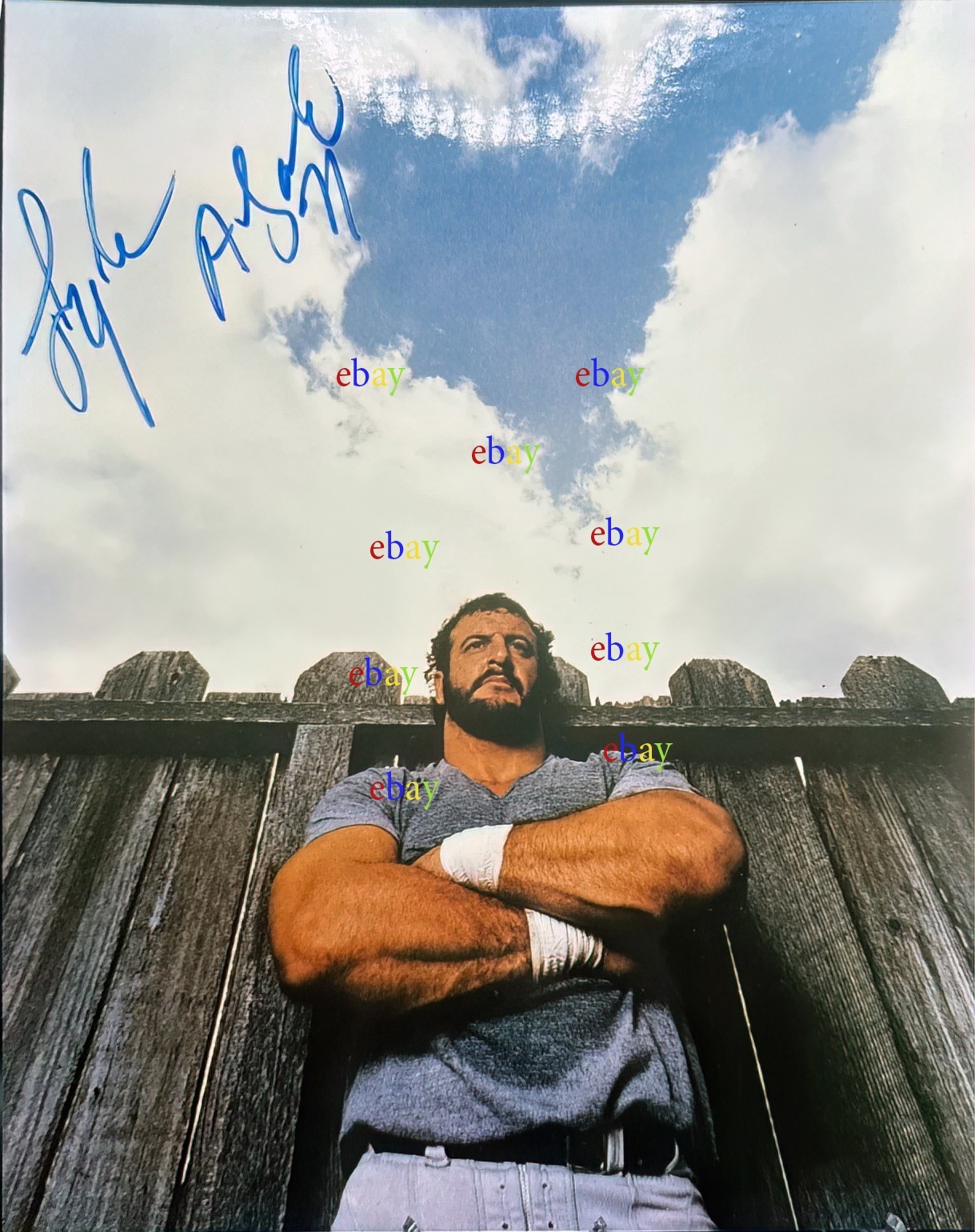 Lyle Alzado Los Angeles Raiders Signed Autographed 8x10 photo Reprint