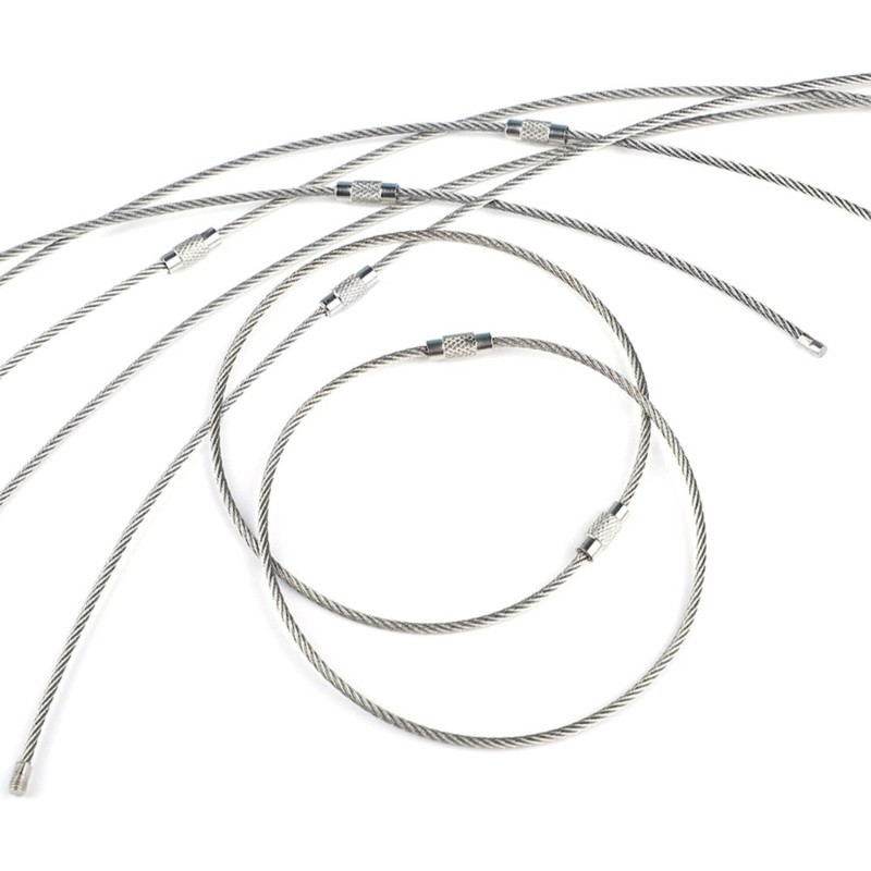 10 Pack Keys Rings Keychain Kit Wire Keychain Perfect for Keys and Luggage Tags