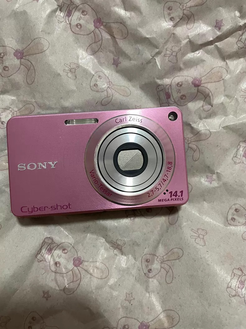 Sony DSC-W350 14.1MP Digital Camera 4x Optical Zoom 14.1MP High-Resolution CCD