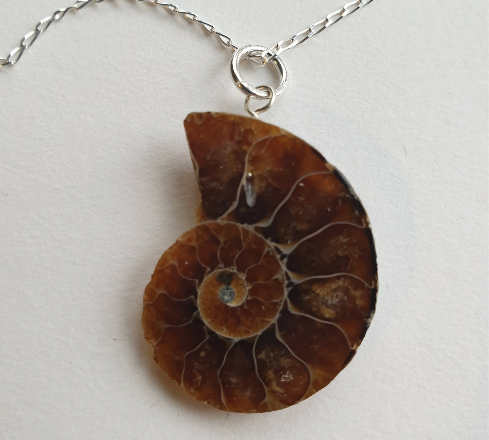 Madagascan Fossil Ammonite Slice Necklace- 2.6cm
