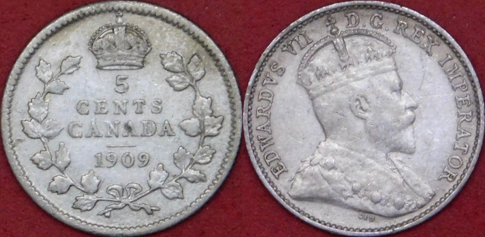 Fine 1909 Canada Round Leaves Silver 5 Cents