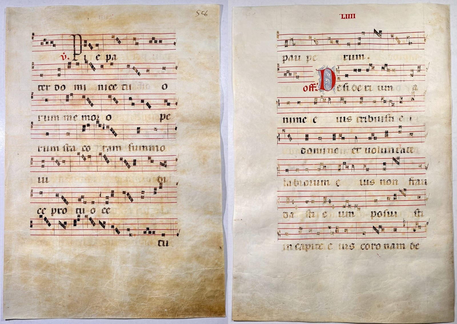 Antiphonary Vellum Manuscript 15th Century A81
