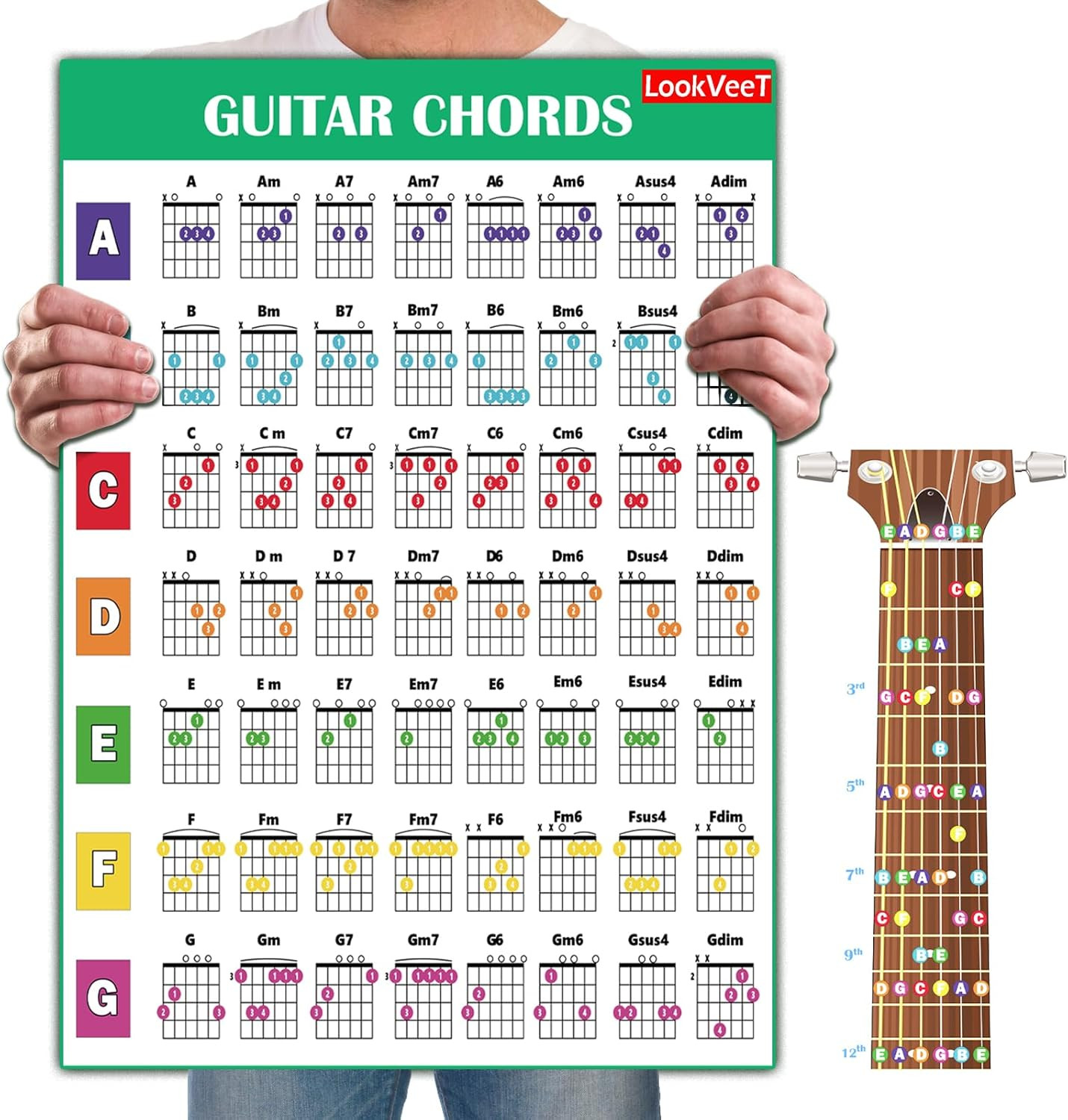 Guitar Chord Chart Poster for Beginner and Portable A4 Laminated Chords