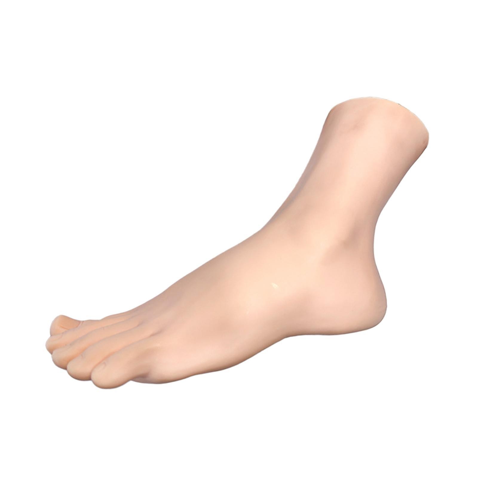 Female Foot Model Left Sock Display Model for Jewelry Display Nails Training