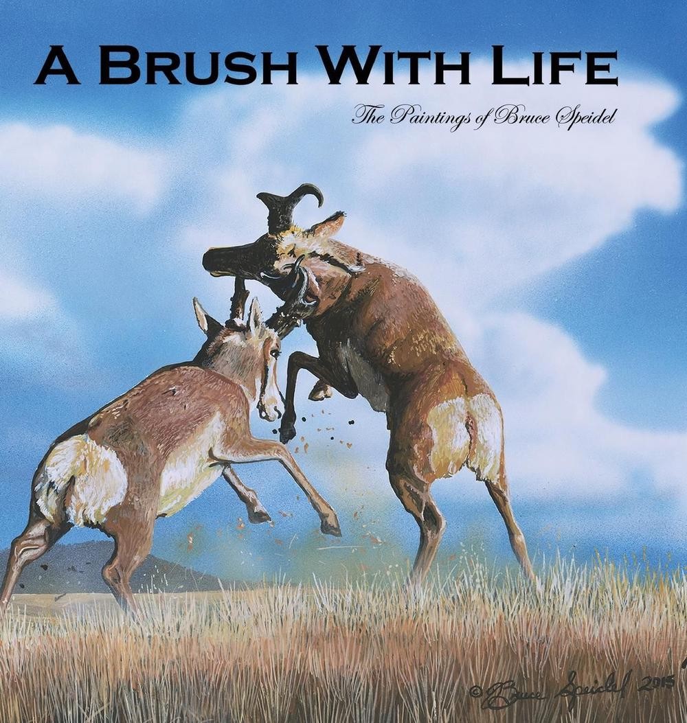 A Brush With Life: The Paintings of Bruce Speidel by Bruce Speidel (English) Har