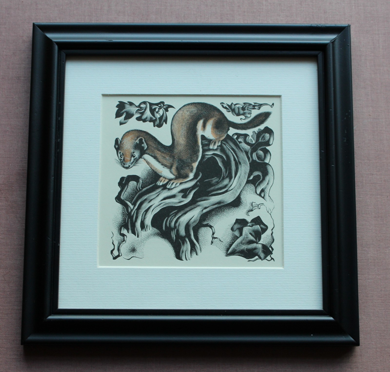 'Weasel' framed lithograph from a woodcut by Agnes Miller Parker c1936