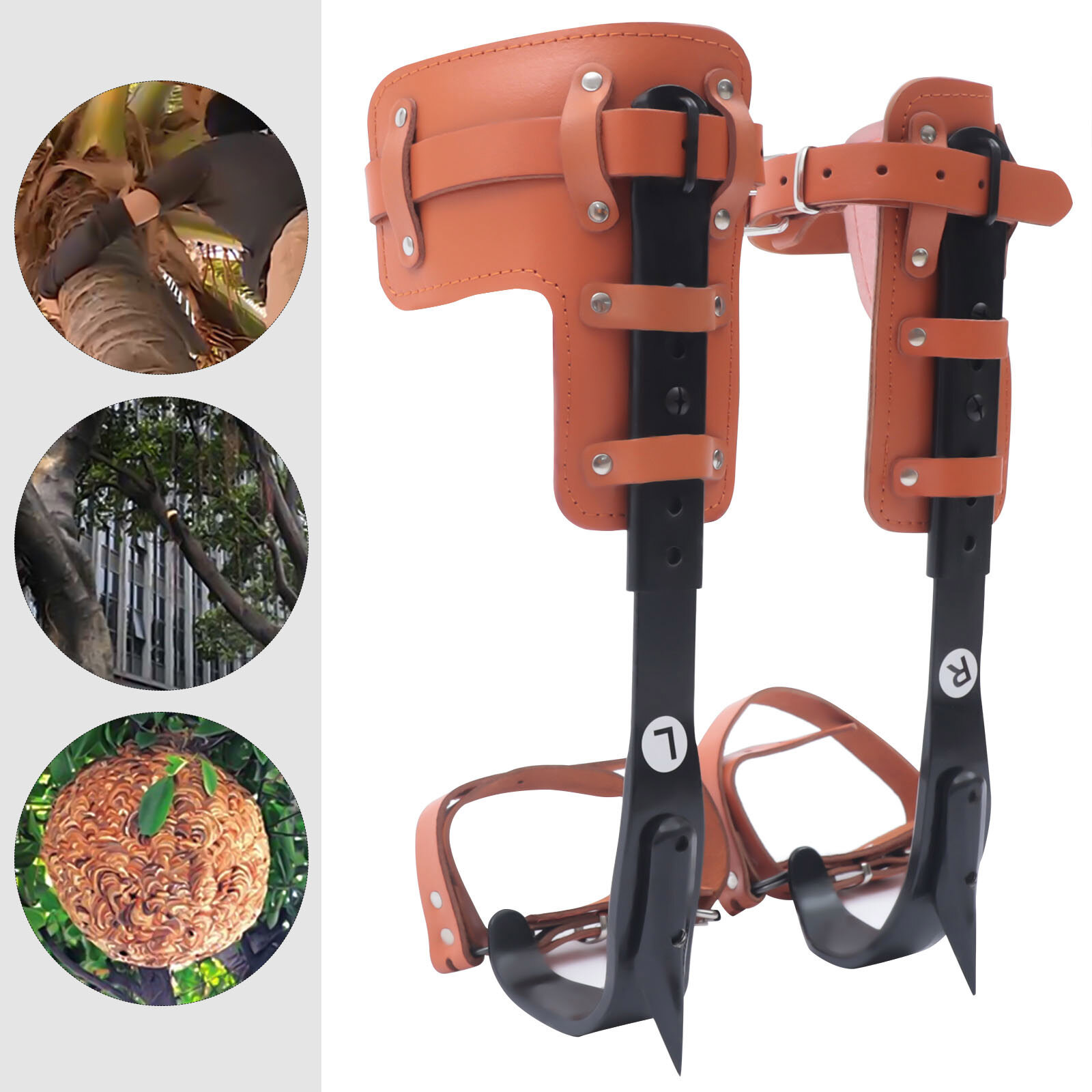 Tree Climbing Spikes Pads Adjustable Climbing Hunting Climber Strap Kit 220lbs