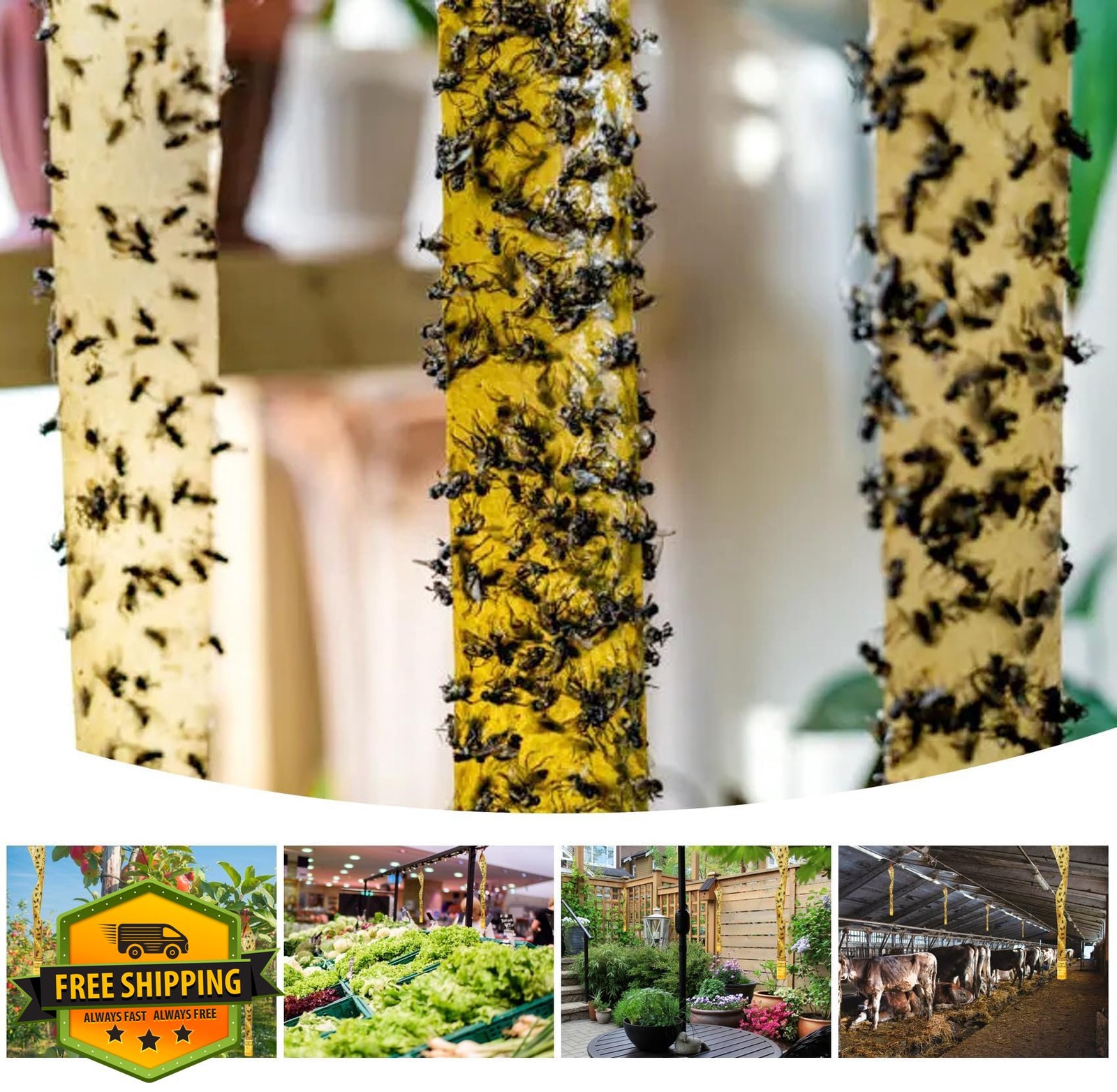 Fly Paper Traps Indoor Sticky Hanging 24 Pack Fly Strips