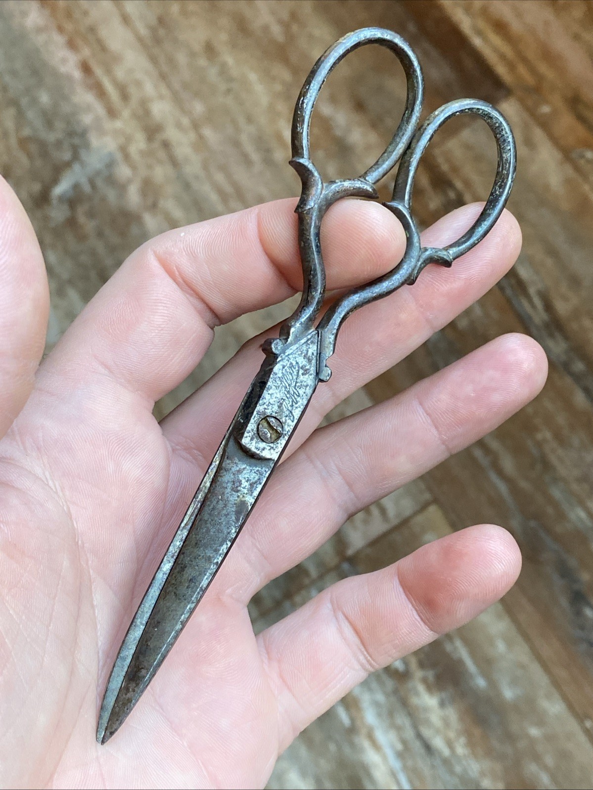 GRIFFON Partridge & RICHARDSON Germany Taylor Sewing Scissors Victorian 19th C