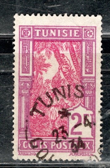 FRANCE FRENCH TUNISIA  AFRICA STAMPS USED LOT  62554