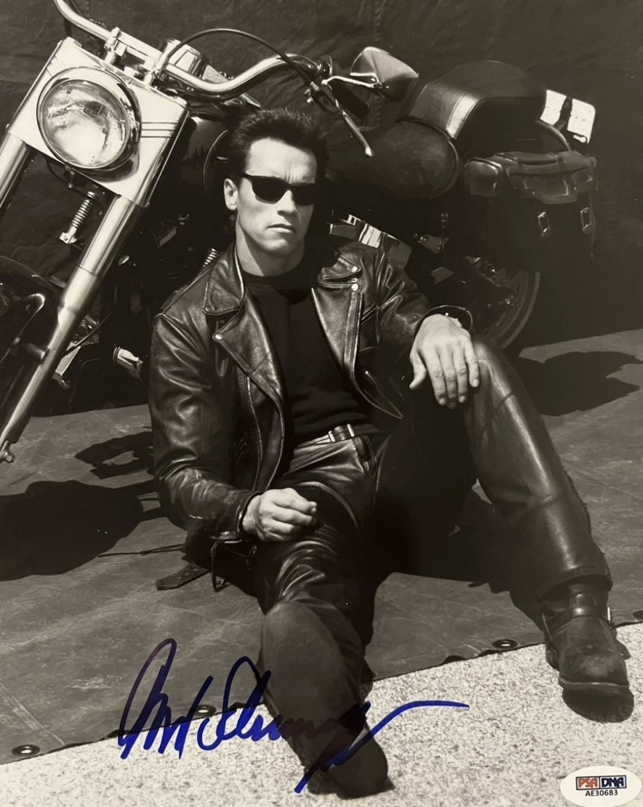 Arnold Schwarzenegger Signed 8x10 REPRINT Photo The Terminator