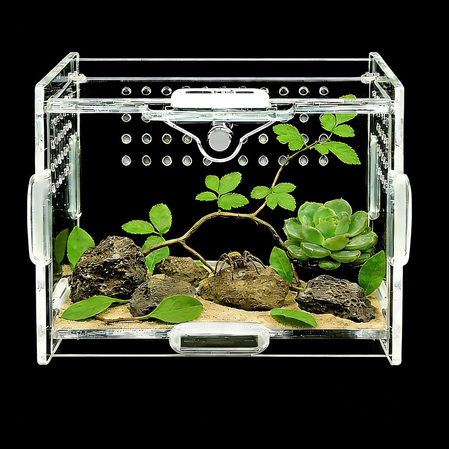 Acrylic Insect Terrarium & Reptile Habitat Kit - Multi-Purpose Bug Enclosure for