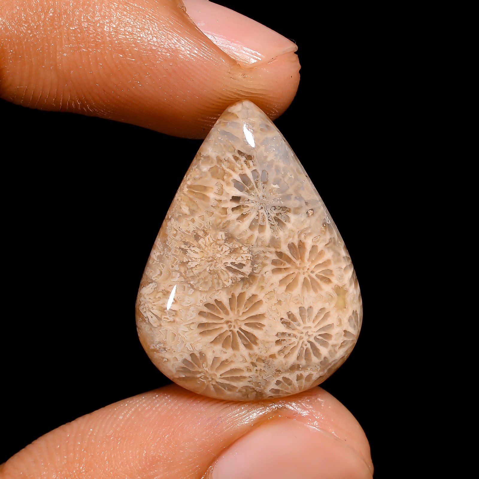 Natural Fossil Coral Pear Shape Cabochon Loose Gemstone 14 Ct. 24X18X5 mm A-1789
