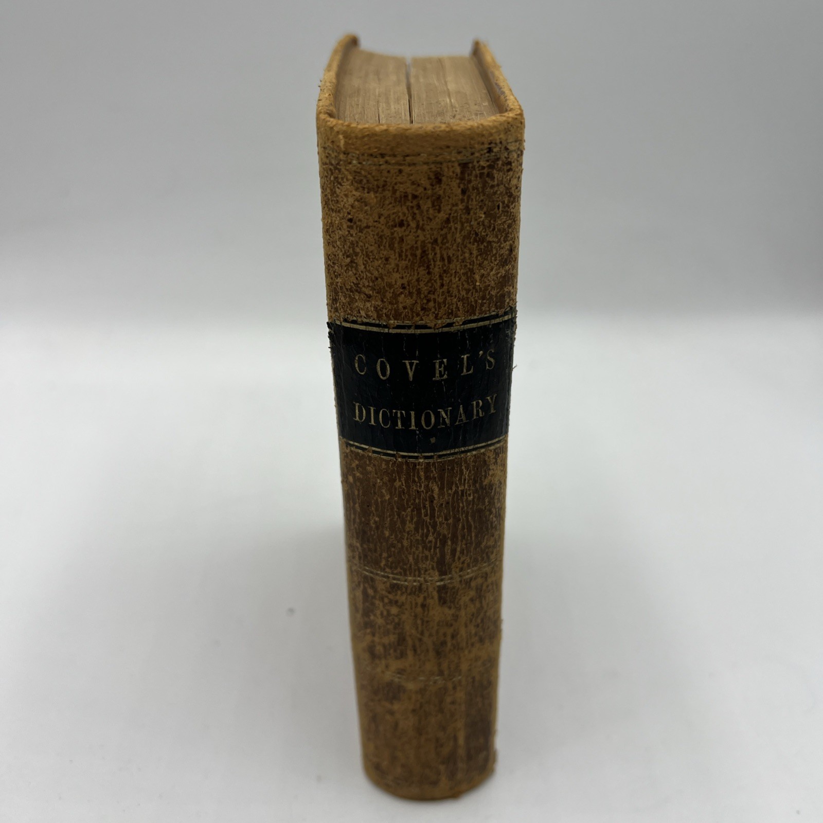 A Concise Dictionary of the Holy Bible by Covel, Rev. James Carlton & Porter 101