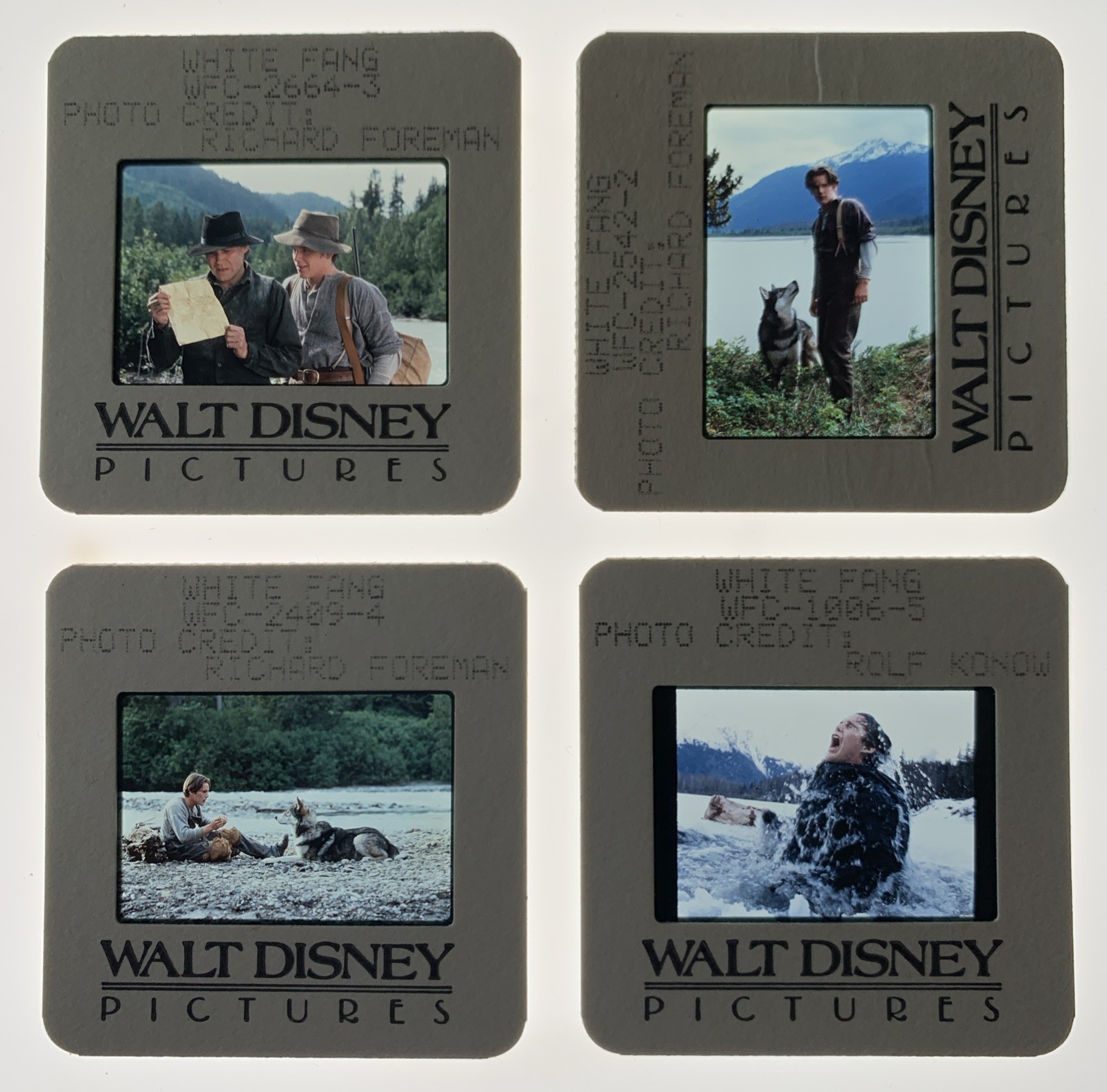 Disney WHITE FANG Ethan Hawke 1991 35mm Publicity Slides x4