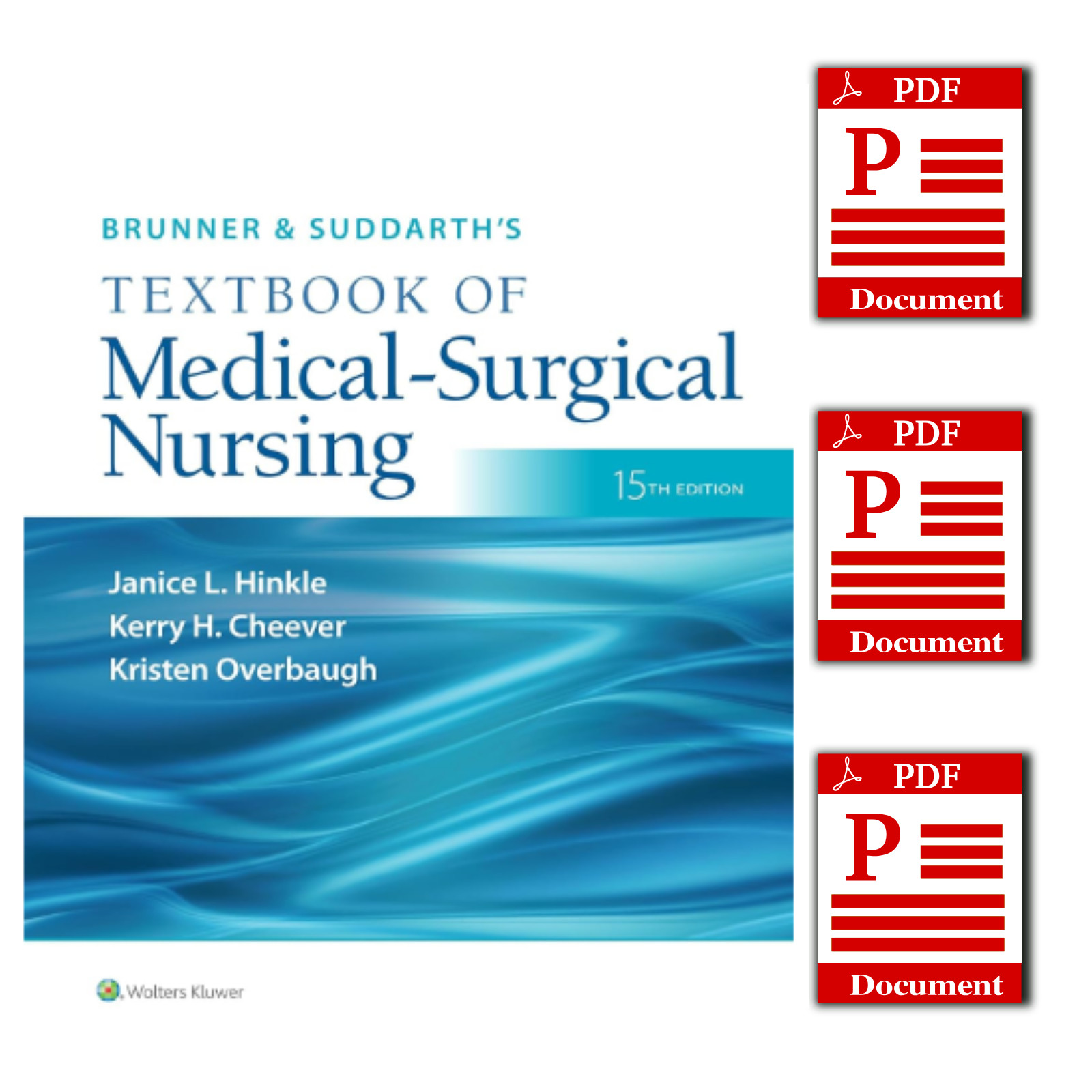 Brunner & Suddarth's Textbook of Medical-Surgical Nursing 15th Ed