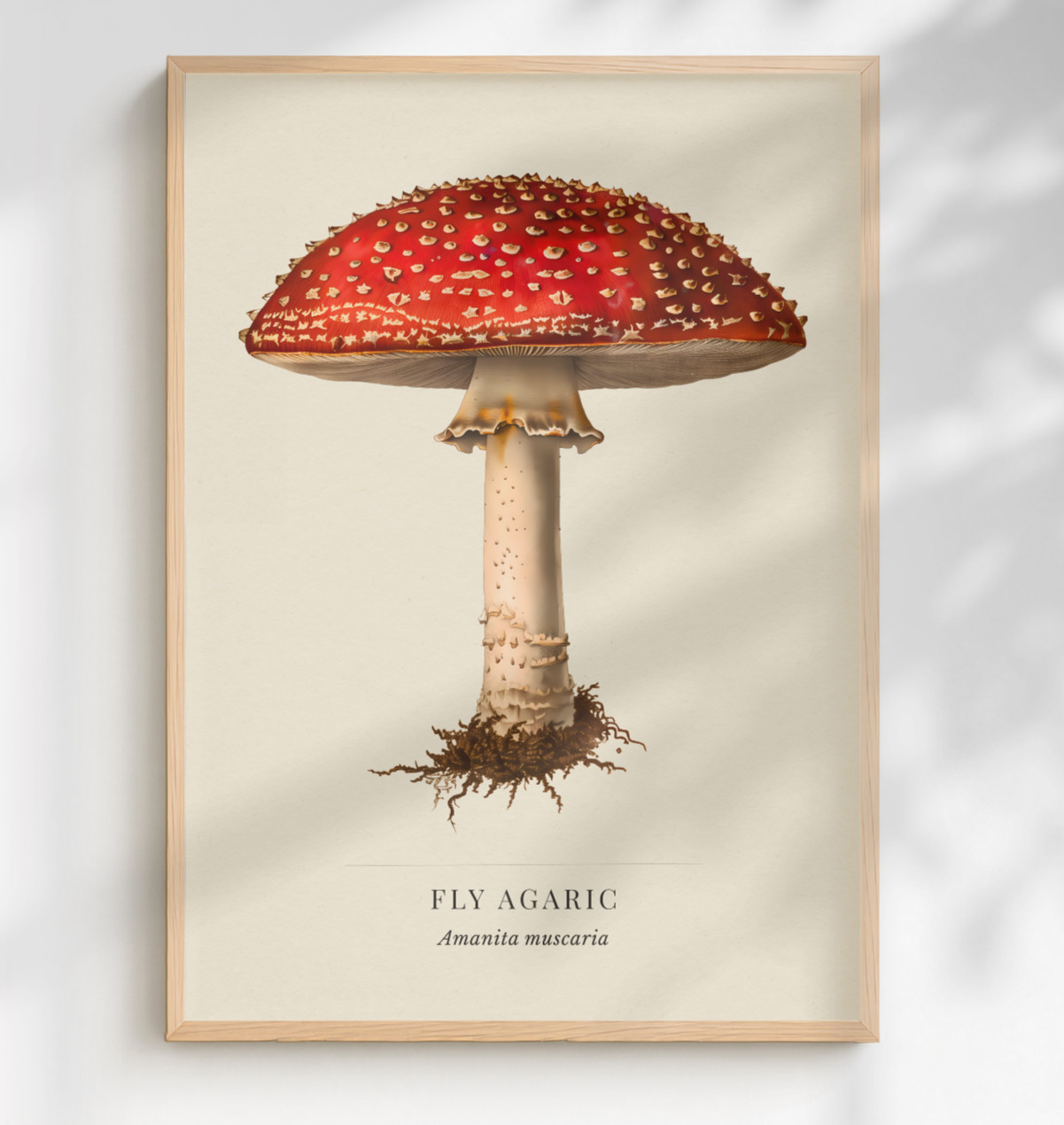 Fly Agaric Mushroom Natural History Print | Vintage Botanical Fungi Art