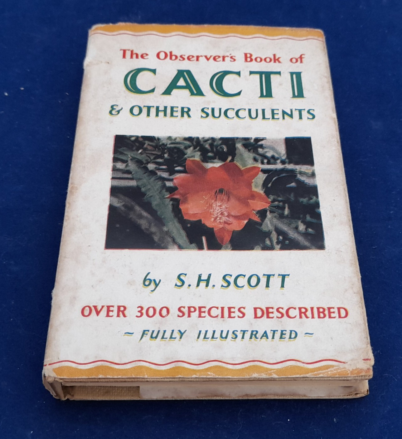 The Observer's Book of Cacti & Other Succulents 1958 1st Ed w/ DJ