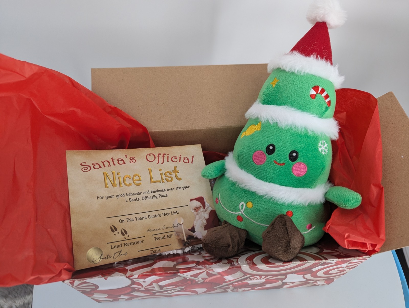 personalized Nice Certificate from Santa Clause & Christmas 🎄 Tree Plush Gift