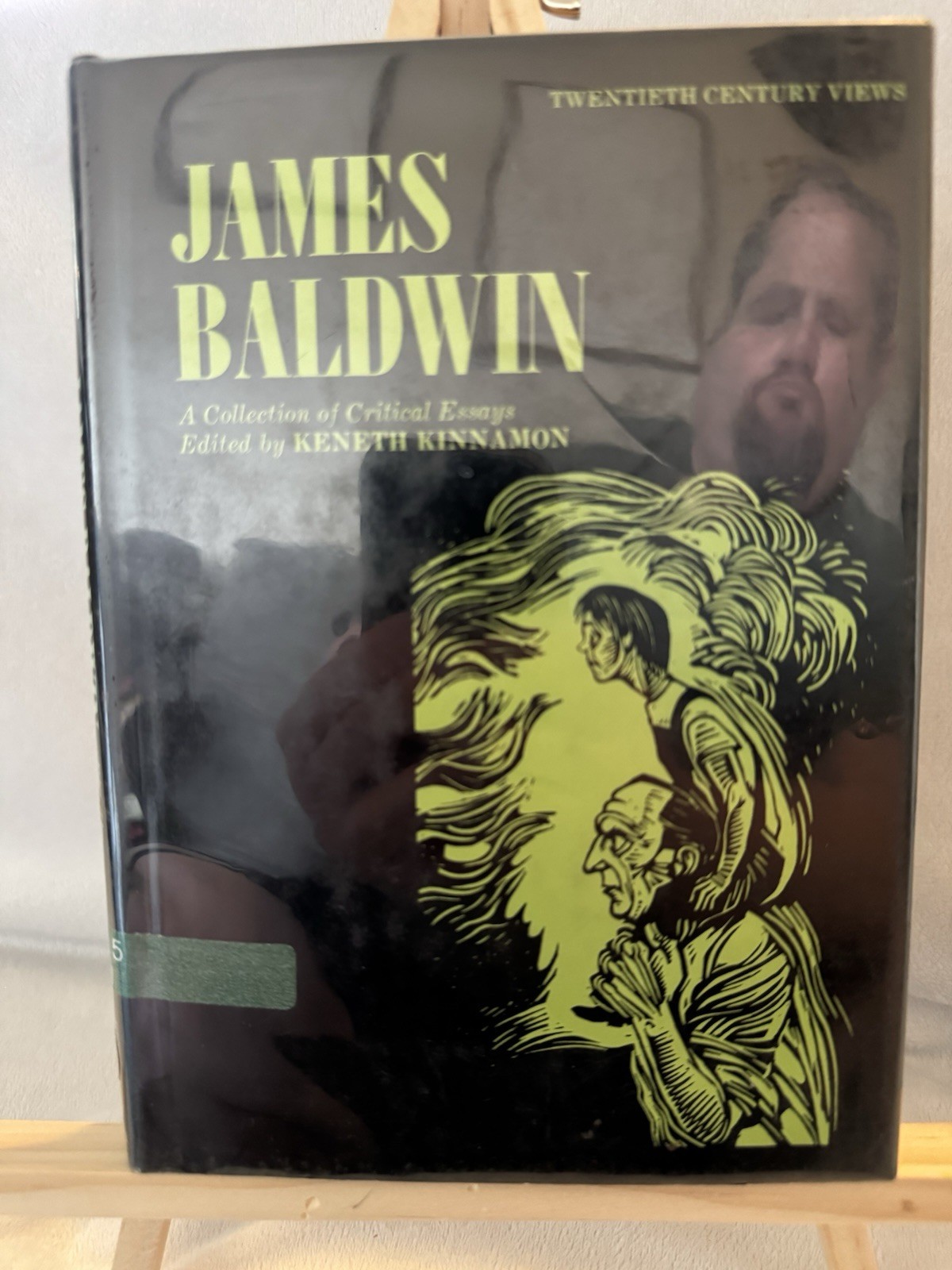 James Baldwin: A Collection of Critical Essays (Twentieth Century Views)